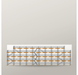 Giebelgerüst 30 x 10 m | 243 m² | Stahl / Holzbelag | RUX65 Giebelgerüst Scaff24 
